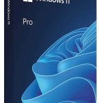 Microsoft Windows 11 Pro USB (HAV-00163)