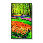Sharp M-series M431 43″ Professional Display, 4K UHD, 500-cd/m2 Brightness, IPS, 28% Haze Non-Glare, 300×300 VESA, 24/7 3Yr Warranty (M431)