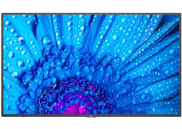 Sharp M-series M551-2 55" Professional Display