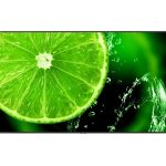 Sharp E758 75″ 4K UHD Display (E758)