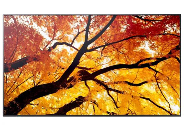 Sharp PN-M552 55" Large Display UHD